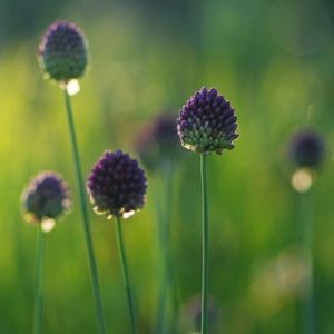 Meet your Posher, Alberto